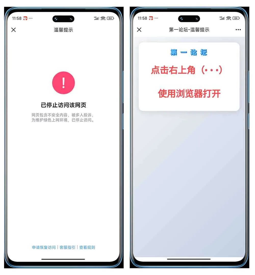 7868758.webp