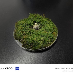 vivo X200 尺度版手机拍摄样张公布，10 月 14 日发布