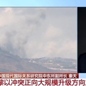 以在黎增强地面军事举措 辩论进一步升级？专家分析→ ...