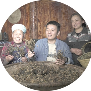 新农人蹚出兴农路（追梦）