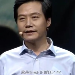 雷军称“金光闪闪的 5 个字”被误解，原文提到小米起首是 sb ...